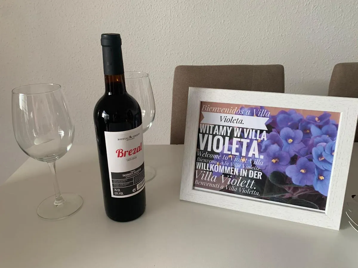 Villa Violeta 拉拉古纳 西班牙